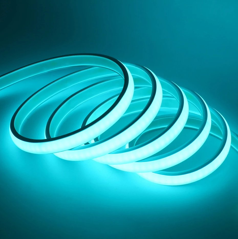 LED Neon Strip 5m RGB Bluetooth + Remote Waterproof 24V