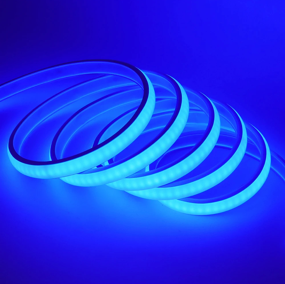 LED Neon Strip 5m RGB Bluetooth + Remote Waterproof 24V