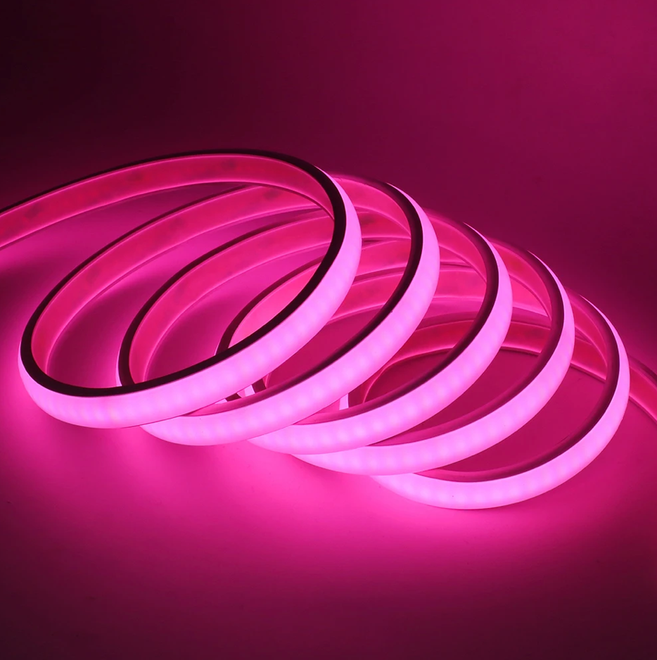 LED Neon Strip 5m RGB Bluetooth + Remote Waterproof 24V